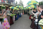 2008 019