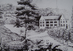 Wolfsfurth 1900