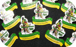 Pin 2012