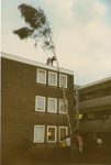 1981 006
